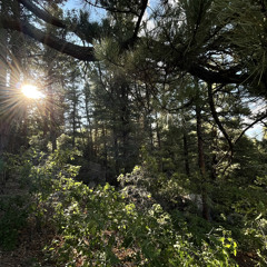 she knows (interlude) *draft*