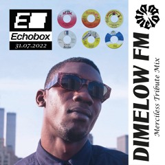 Dimelow FM #10 - Merciless Tribute Mix - Echobox Radio (end-July 2022)