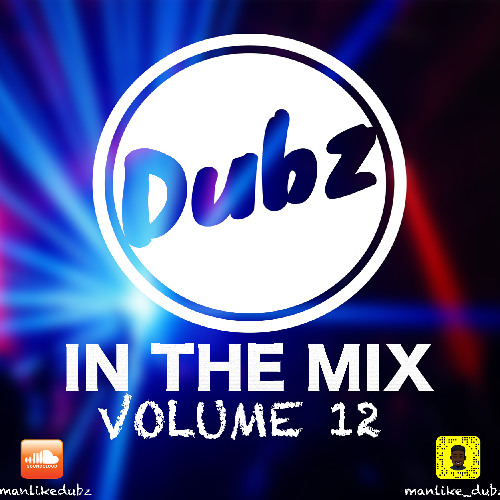 Dubz In The Mix Volume 12