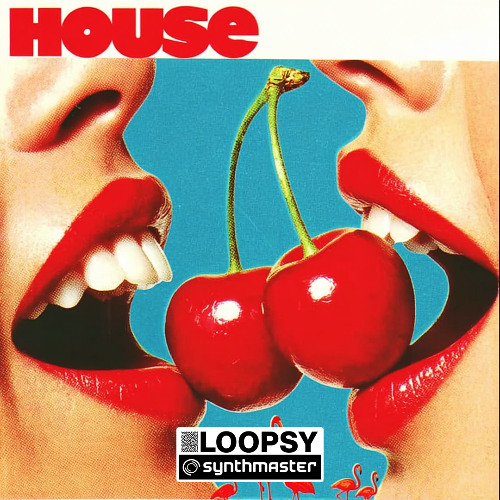 Expansion-Loopsy-House Sounds for SynthMaster 3 audio demo
