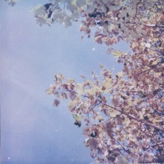 the joke shop (the world is just a frenzy…)