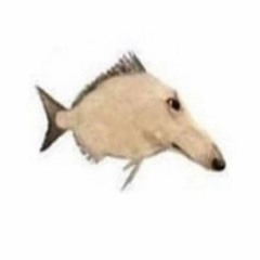 vsynth grindcore metal heavy rock 4 the soul