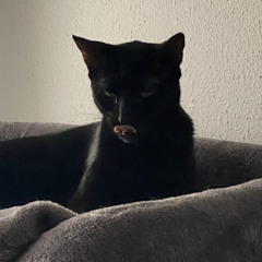 El nenee