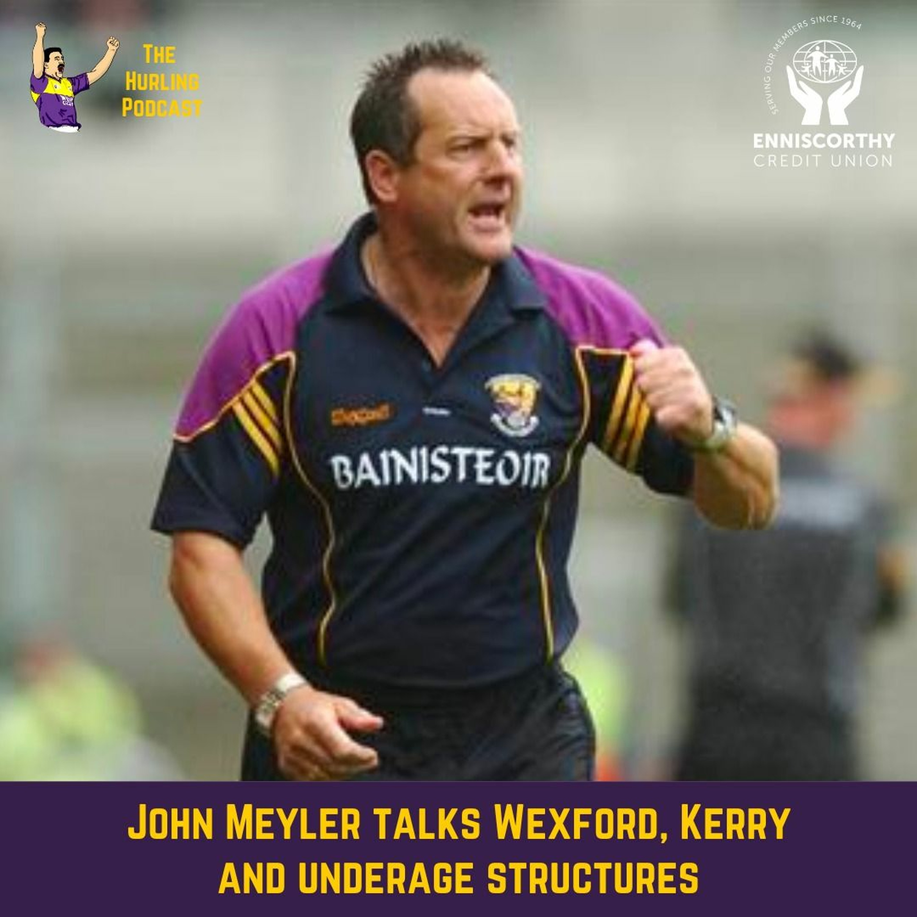 The Wexford Hurling Podcast