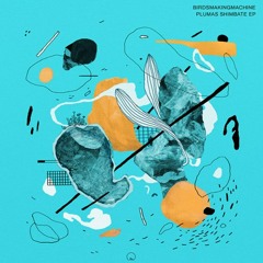 Premiere | A1. Birdsmakingmachine ~ Paxaresku [MLDM03]