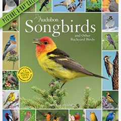 [View] EPUB 📤 Audubon Songbirds and Other Backyard Birds Picture-A-Day Wall Calendar