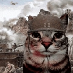 Vietnam War Flashback Vol. 3 (The Devils Playground Preview)
