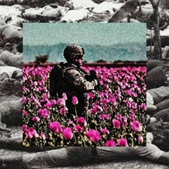 cutedoc - war on drugs