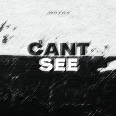 CANT SEE
