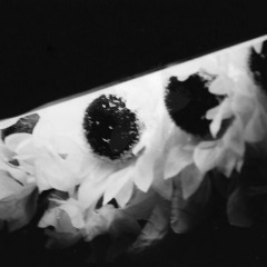 ♾️ your loss ♾️