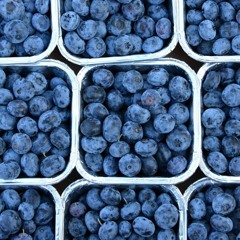 Giant Blueberry (Guzior x Calvin Harris mashup)