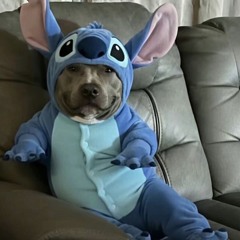 cold freestyle (prod. jermaine)