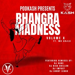 Bhangra Madness - Volume X