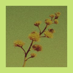 Pollen // Mini EP.