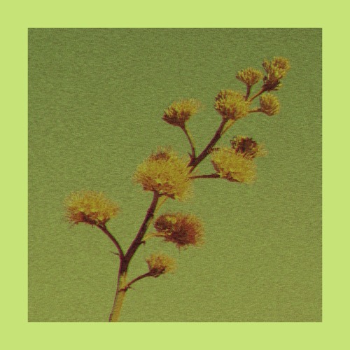 Pollen // Mini EP.