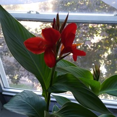 05.Get Up Wit Me (Prod By. guap beats)