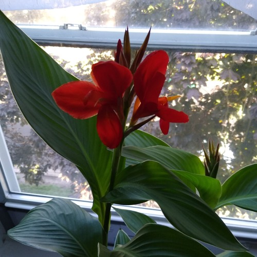 05.Get Up Wit Me (Prod By. guap beats)