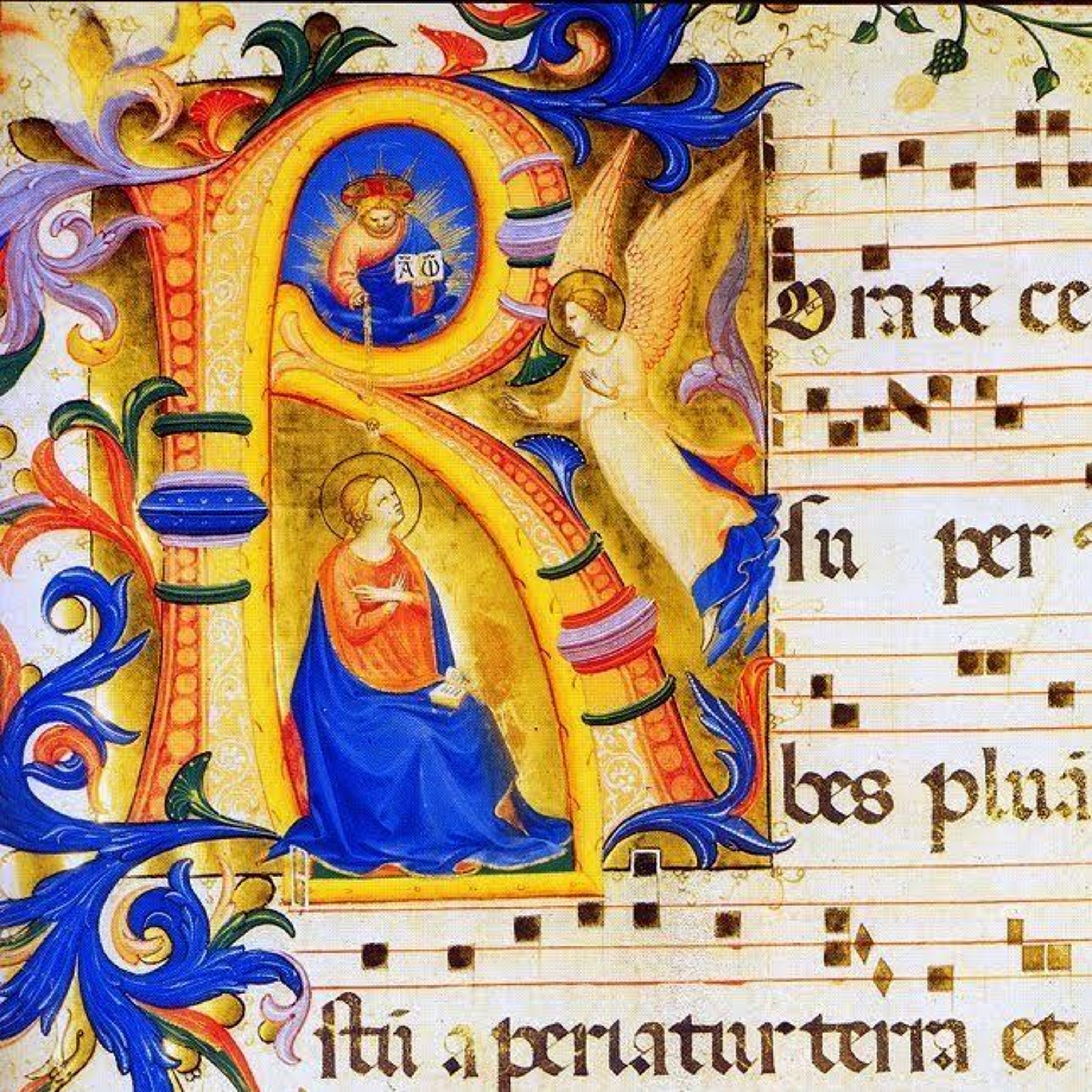 IV Sunday of Advent (2020)