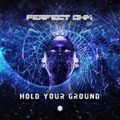 Perfect Ohm - Hold Your Ground (Original Mix)
