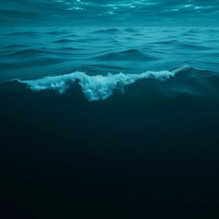 The sea hums a tune