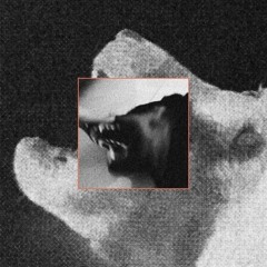 XAN MAKING ME GO STUPID (ALL PLATFORMS)