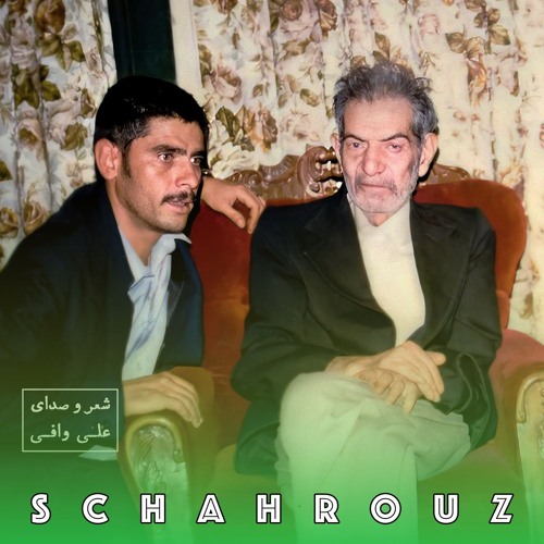 علی وافی | خرده مگیرید