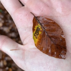 1118 TNMLD tancim ja.