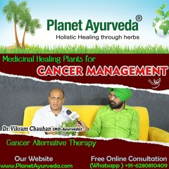 Medicinal Healing Plants for Cancer Management - Cancer Alternative Therapy