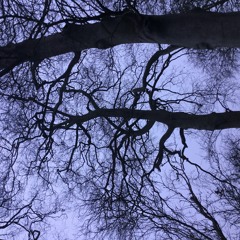 Organ improvisation IV