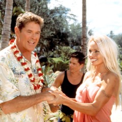 42 - Baywatch: Panic at Malibu Pier/Hawaiian Wedding