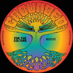For The Culture - Nightlife Original Mix