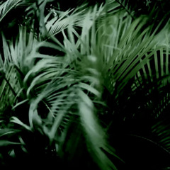 Invenias No. 9