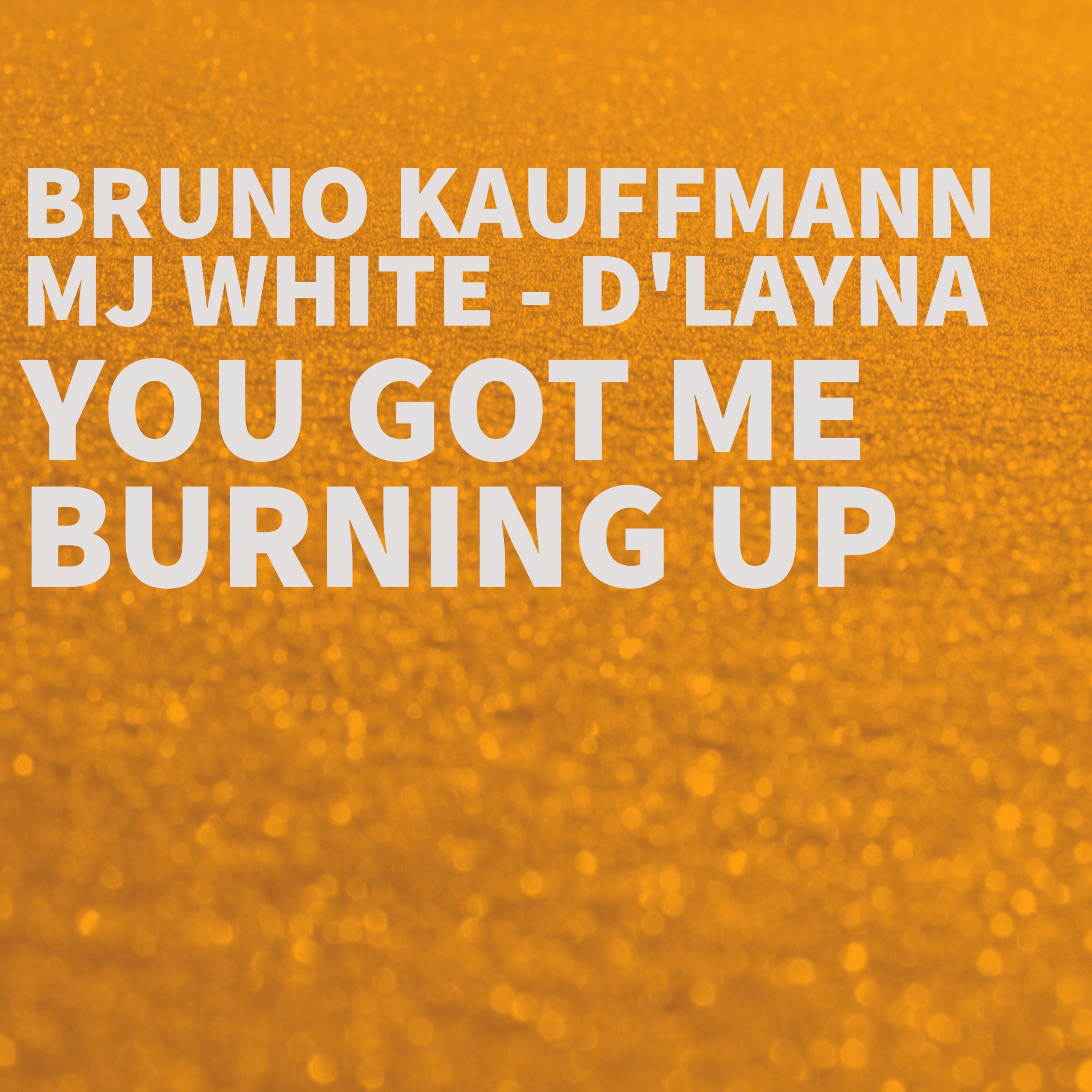 bruno kauffmann