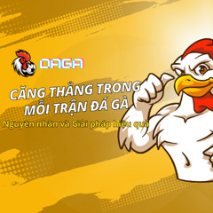 Căng thẳng trong mỗi trận đá gà – Nguyên nhân và Giải pháp hiệu quả