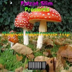 Magical Mushroom Trip (Original)