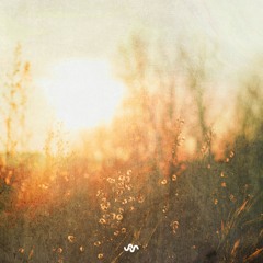 An evening in the valley