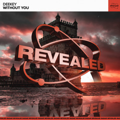 Without You (Extended Mix)