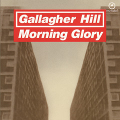 MORNING GLORY feat ROB SUMMERFIELD (ACOUSTIC)