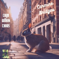 Carmine Bridges - Calm Within Chaos (Mr Silky's LoFi Beats)