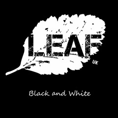 Black and White (Radio Edit)