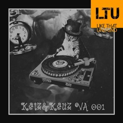 Premiere: Andy's Echo & Hafenkande - Clouds (Original Mix) | Katz&Kauz