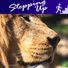 Redefining Power: From Control to Collaboration