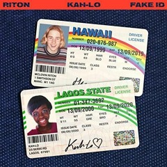 JGS, INTENT & BROWNY - Fake ID (Sample)