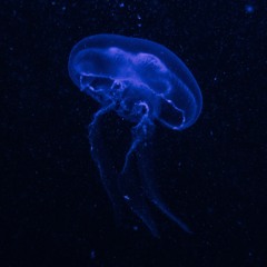 Poor Unfortunate Souls