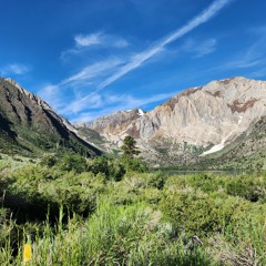 Positive Electric Wave