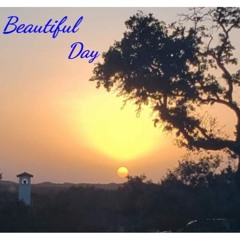 Beautiful Day (remix)
