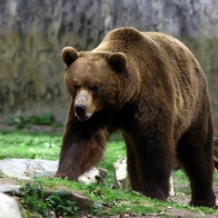 Det vores hus(Bass boosted) fat det