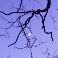 Odio tutto quello che ho di te :(