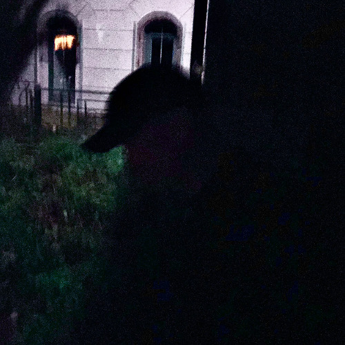 Shadow Taking Over Me