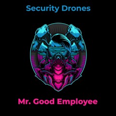 Security Drones